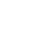 DiLED logo valkoinen